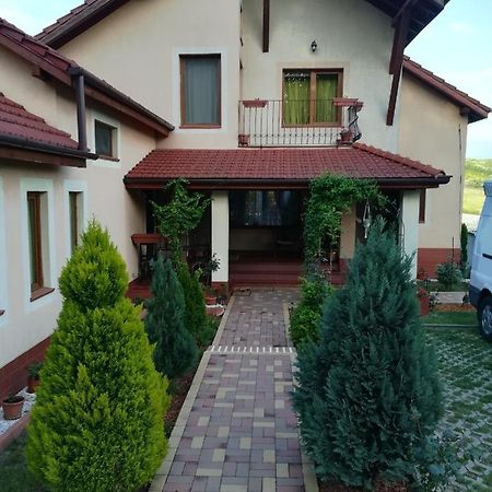 Appartamento Casa Doina Băile Felix Esterno foto